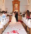 Wedding Album