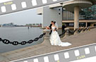 Wedding Album